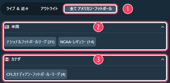 アメリカンフットボールのリーグ一覧。米国のナショナルフットボールリーグとNCAA、カナダのCFL